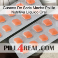 Gusano De Seda Macho Polilla Nutritiva Líquido Oral 27